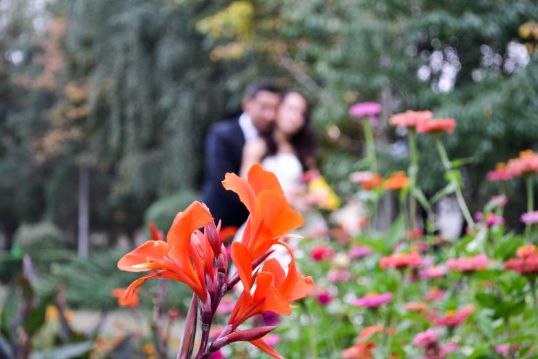 Free stock image of Wedding created by Octavian
