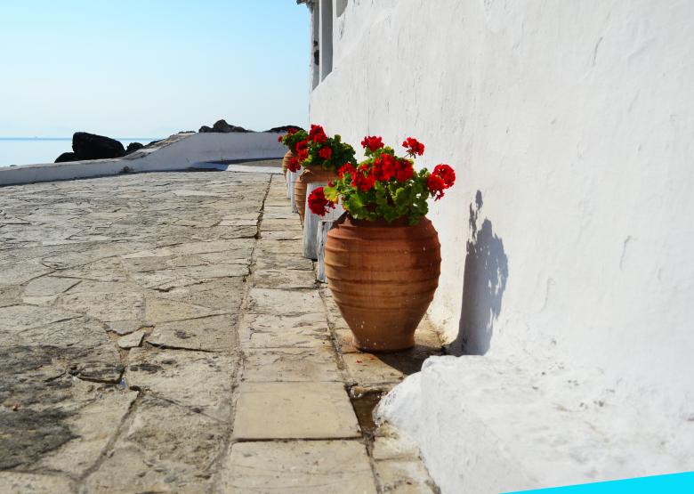 Free stock image of Flower pot created by Octavian