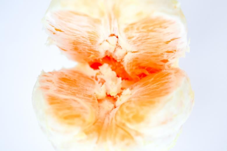Free stock image of Orange meat created by Octavian