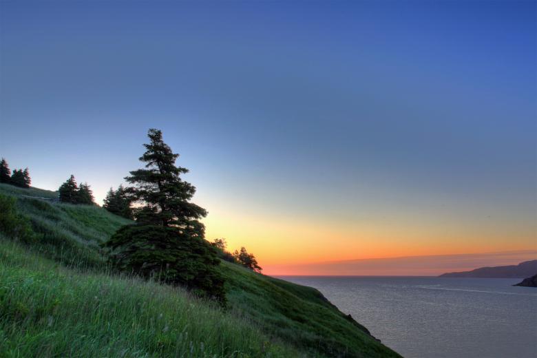 Free stock image of Tree at sunrise created by Geoffrey Whiteway