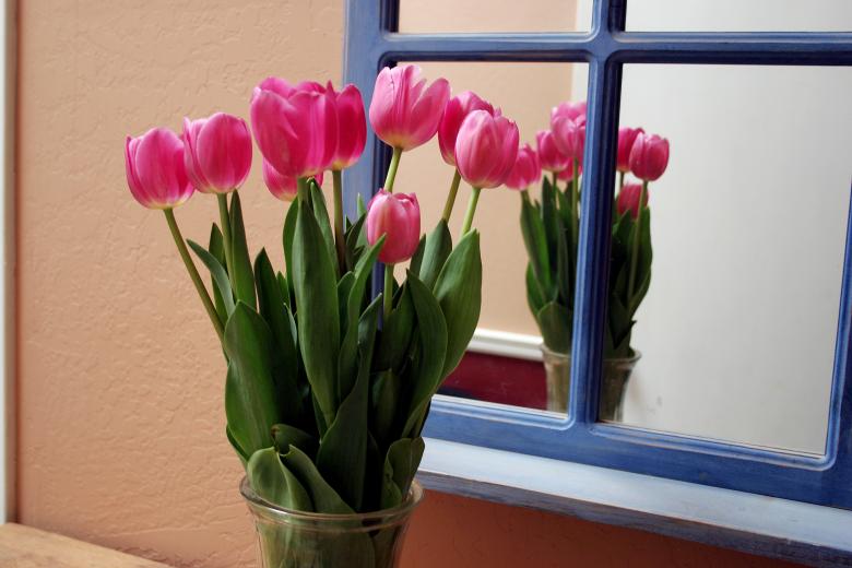 Free stock image of Reflected Tulips created by Sue Osborn