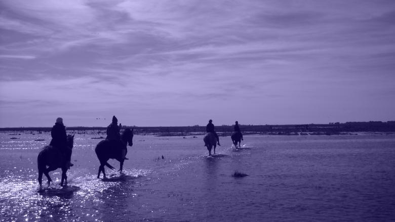 Free stock image of Kukala 2012 created by Atu 