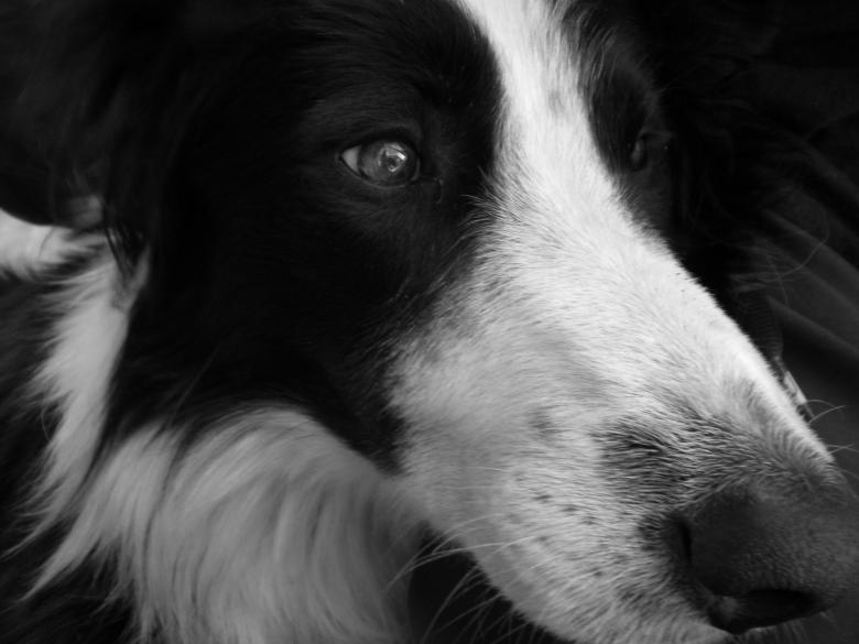 Free stock image of Tango created by Atu 