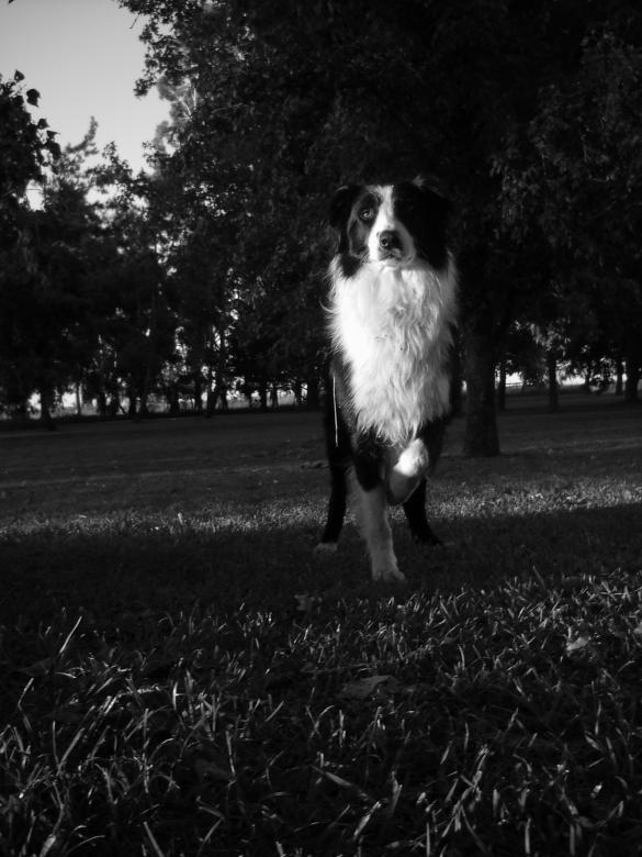 Free stock image of Tango created by Atu 