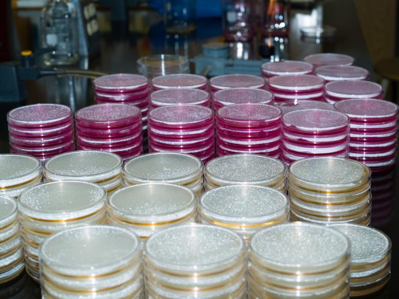 Free stock image of Petri Plates created by Geoffrey Whiteway