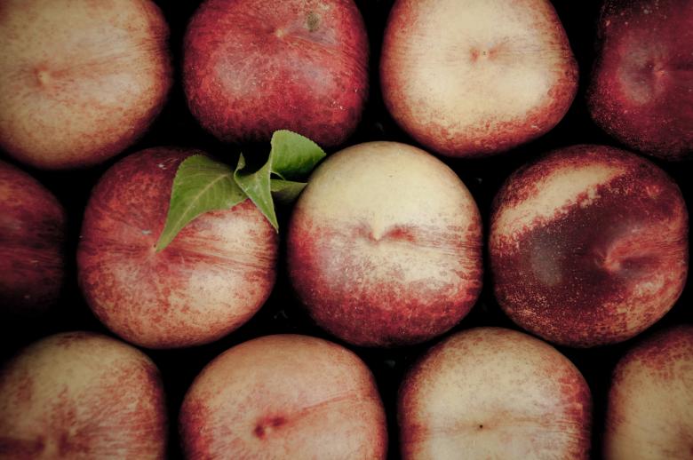 Free stock image of Peaches created by Luka