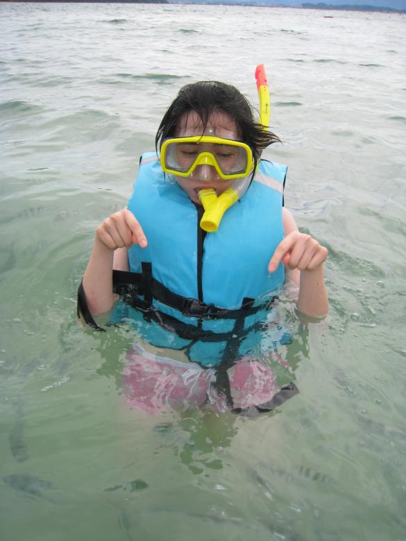 Free stock image of Snorkeling, Kota Kinabalu created by Steve Tsoi