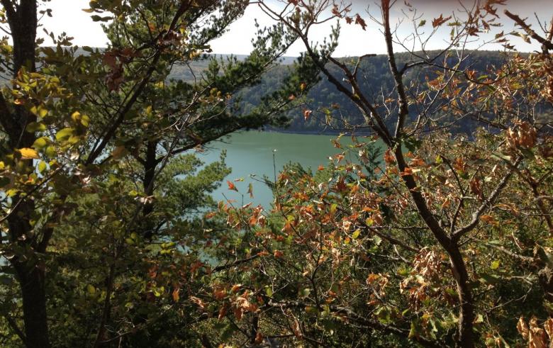 Free stock image of Peering at lake through trees created by Yinan Chen