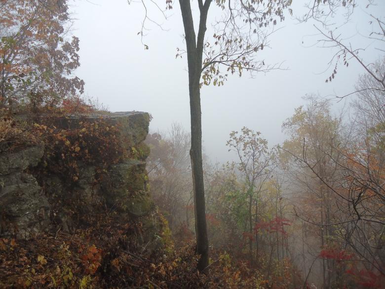 Free stock image of Fog View from Bluff created by Yinan Chen