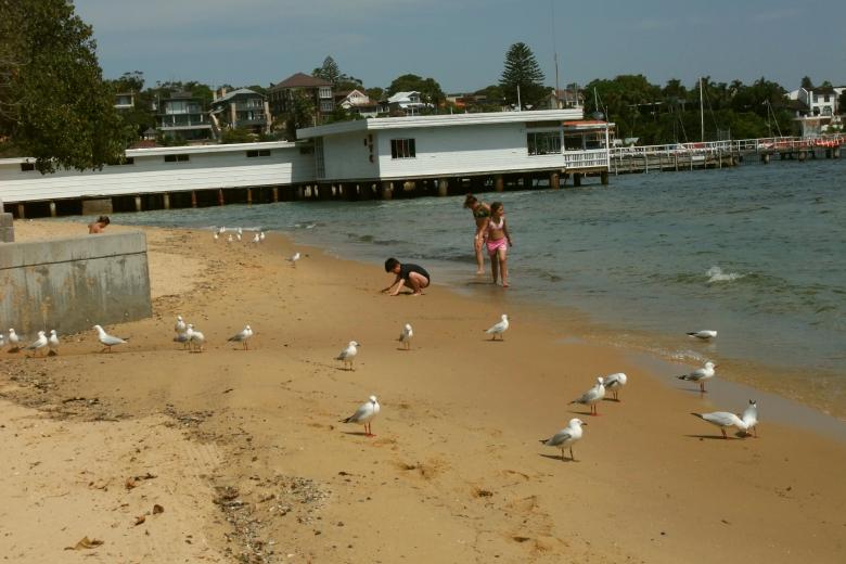 Free stock image of Beach in Sydney created by Steve Tsoi