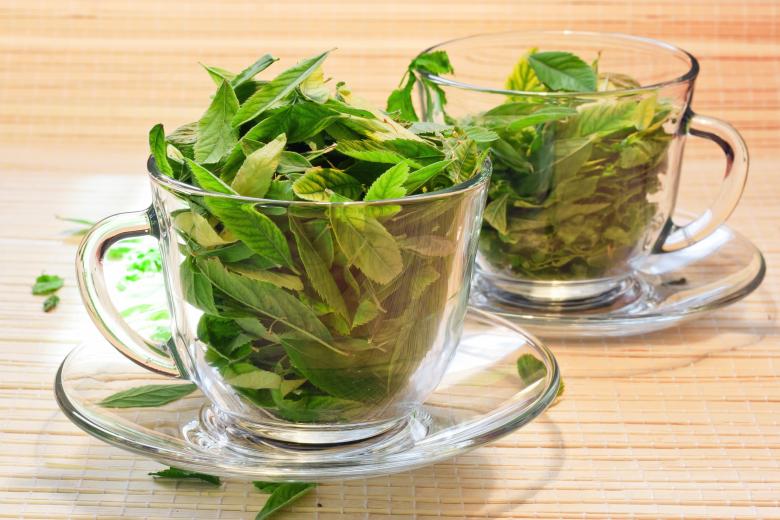 Free stock image of cup with leaves created by 2happy