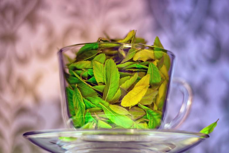 Free stock image of cup with leaves created by 2happy