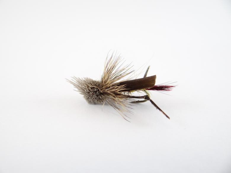 Free stock image of Hopper Dry Fly created by Matias Riquelme