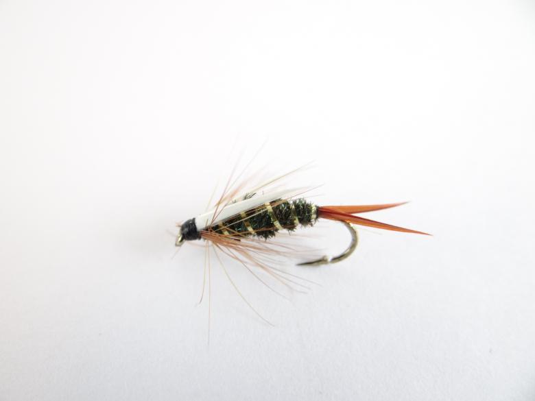 Free stock image of Prince nymph created by Matias Riquelme