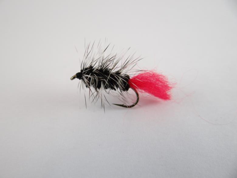 Free stock image of Streamer for flyfishing created by Matias Riquelme