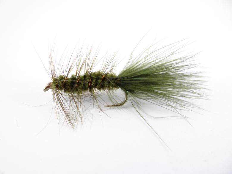 Free stock image of Olive Wolly Bugger created by Matias Riquelme