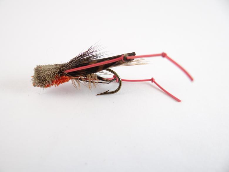 Free stock image of Hopper fly created by Matias Riquelme