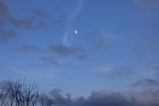 Night sky with moon - Free Stock Photo