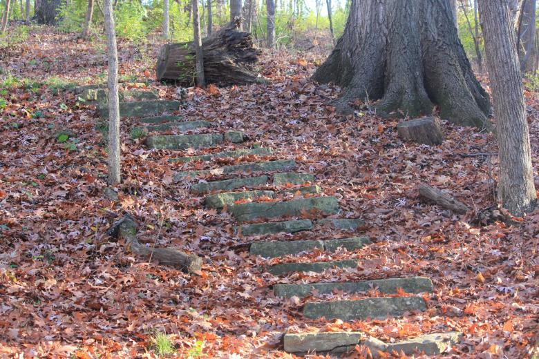 Free stock image of Steps on the hiking path created by Yinan Chen