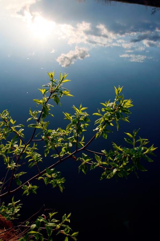 Free stock image of River scene created by 2happy