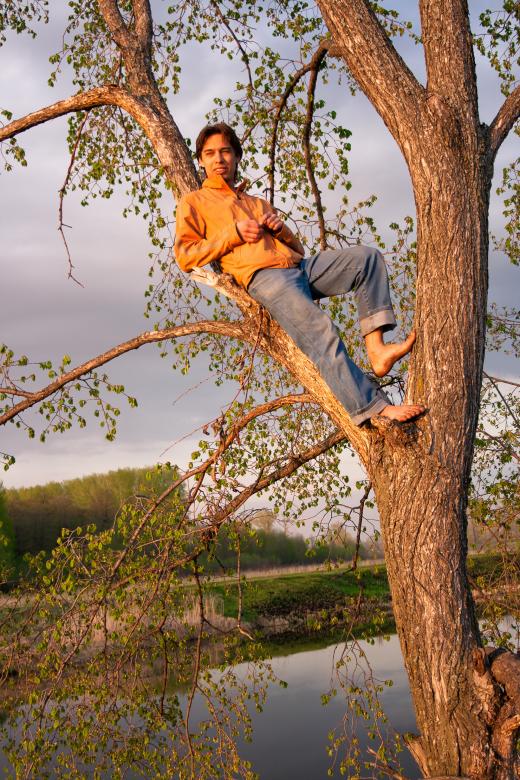 Free stock image of Young man relaxed on tree created by 2happy