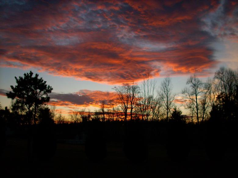 Free stock image of Sunset over the forest created by Clifford M. Kinsman