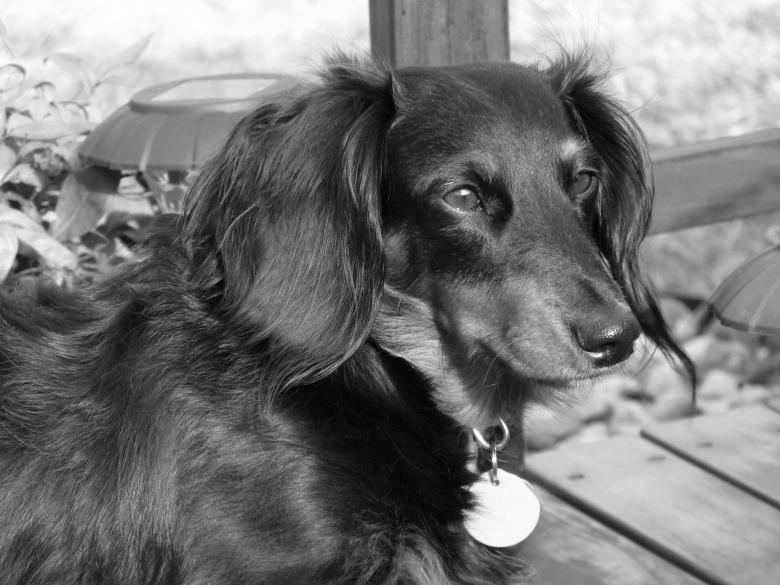 Free stock image of Stormy created by Debbie Daniel