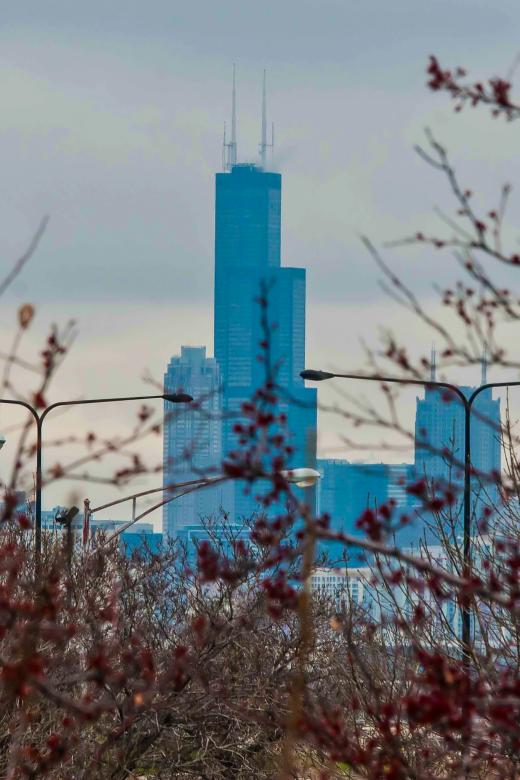 Free stock image of Chicago skyline created by agphotostock.com
