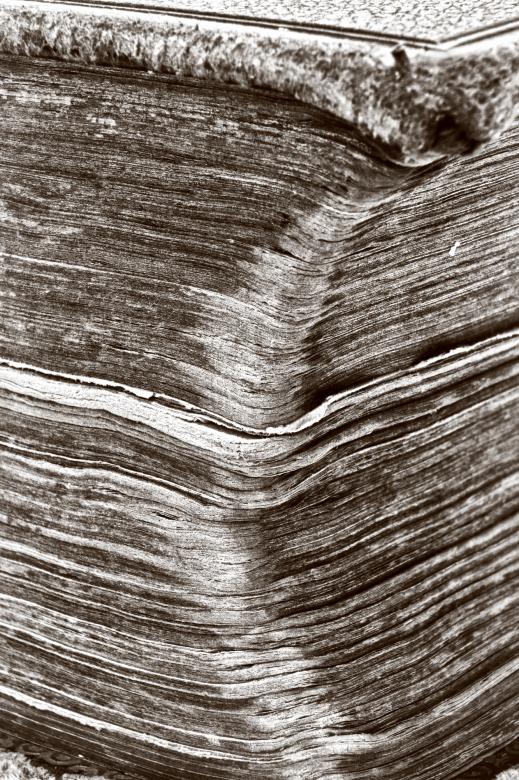 Free stock image of Pages of a book created by Gina145