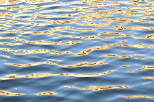 Water Sun Background - Free Stock Photo