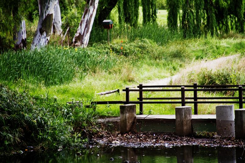 Free stock image of The Bridge created by Gina145