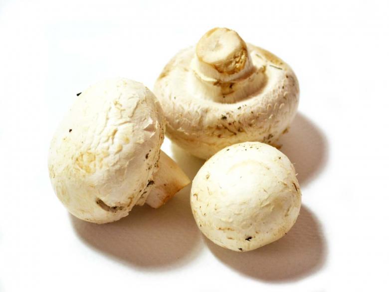 Free stock image of Mushrooms created by Jonathan Harris