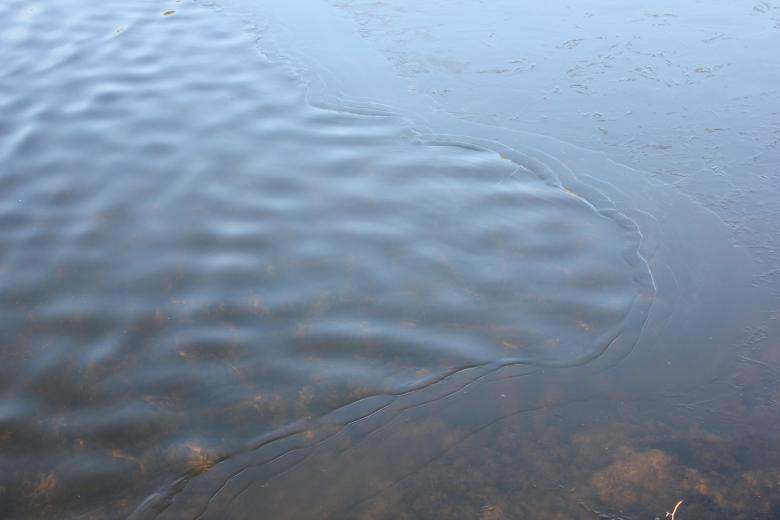 Free stock image of Border in the Water created by Yinan Chen