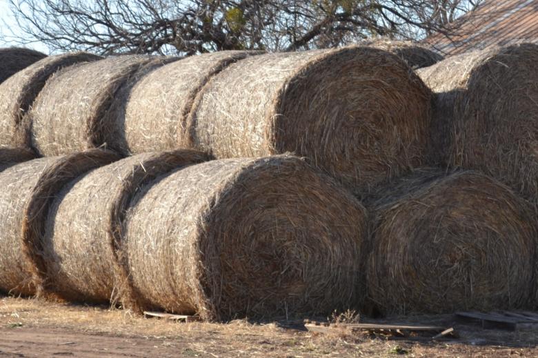Free stock image of Hay Bales created by Jonathan Harris