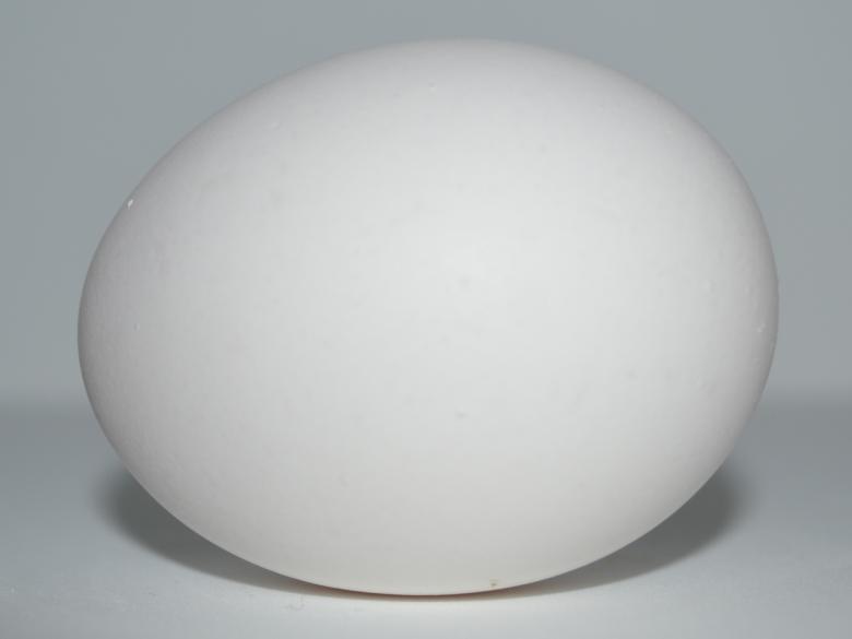 Free stock image of White Egg created by Jonathan Harris