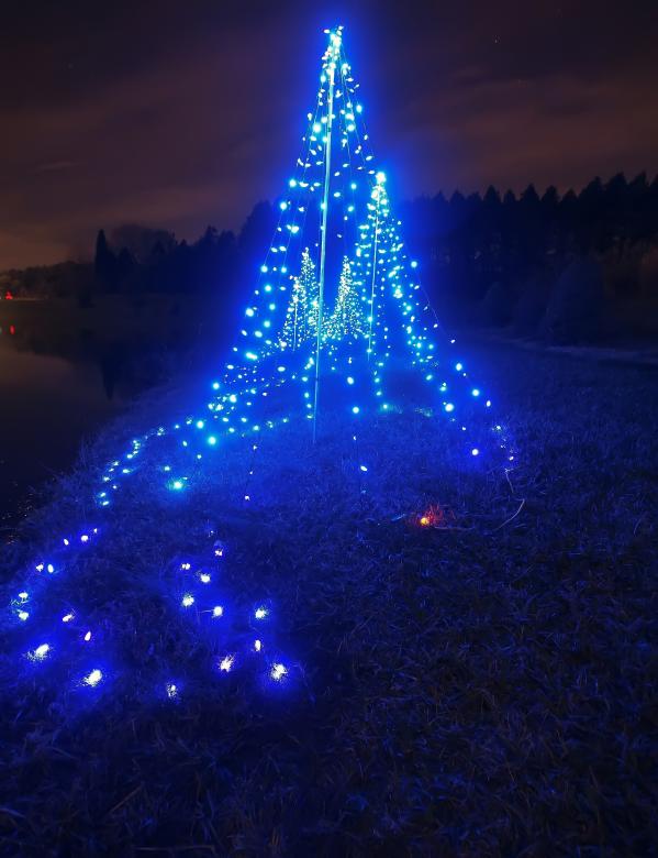 Free stock image of Blue christmas tree created by agphotostock.com
