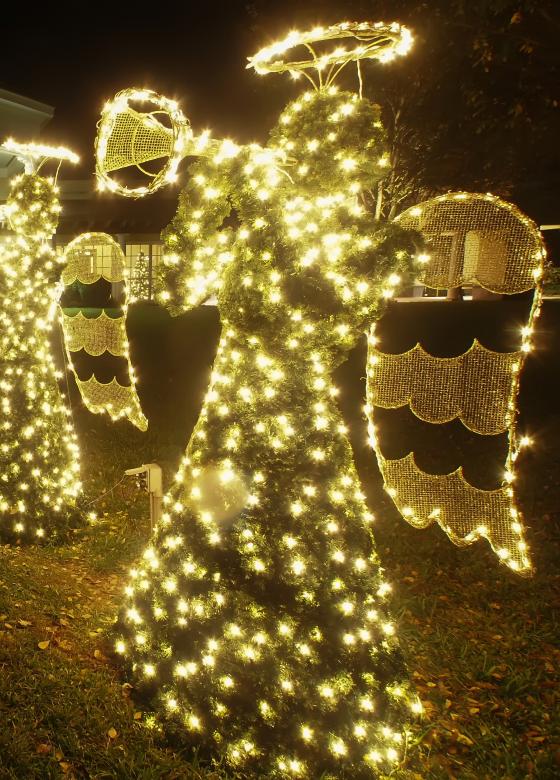 Free stock image of Christmas angel trumpet created by agphotostock.com