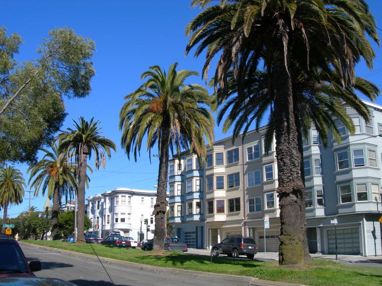 Free stock image of Dolores Terrace created by John C. Thomas