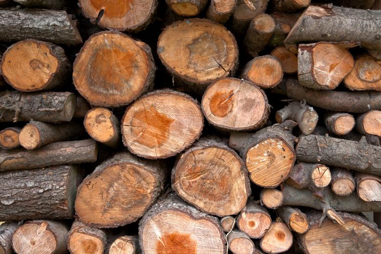 Free stock image of Wood Logs Texture - HDR created by Nicolas Raymond