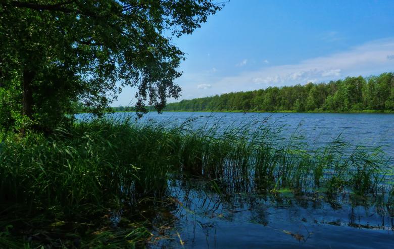 Free stock image of Scene on river created by Vladimir Ovcharov