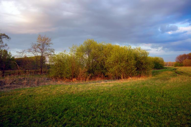 Free stock image of meadow at sunset created by 2happy