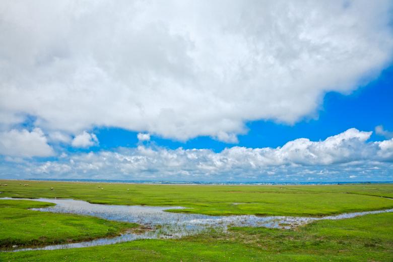 Free stock image of Normandy Pasture - HDR created by Nicolas Raymond