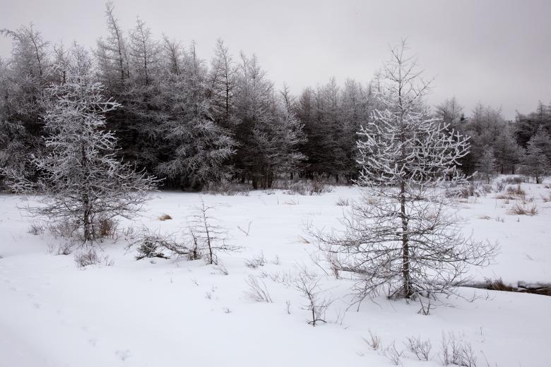 Free stock image of Winter Wonderland created by Geoffrey Whiteway