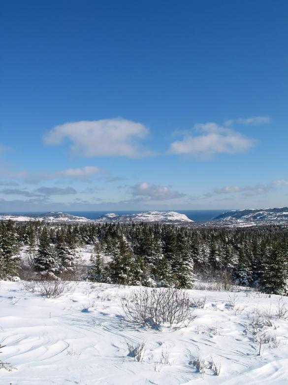 Free stock image of Winter Wonderland created by Geoffrey Whiteway