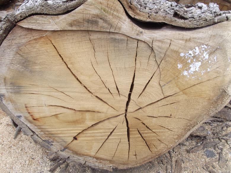 Free stock image of Cracked Wood created by James Walton