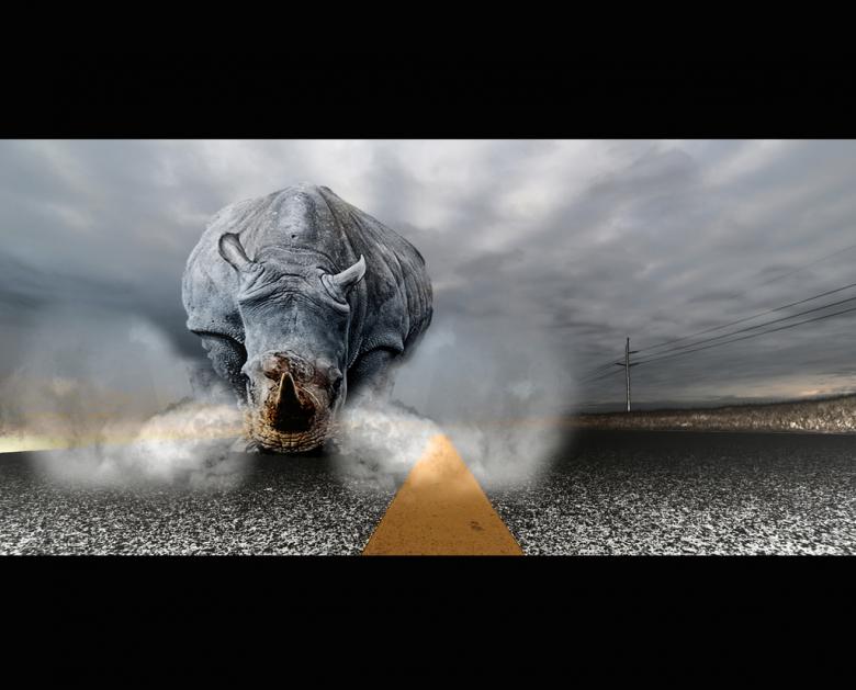 Free stock image of Rhinoceros chaos created by agphotostock.com