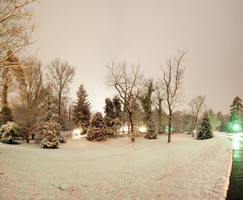 Free stock image of Trees covered in snow created by agphotostock.com