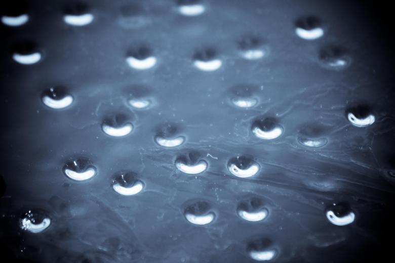 Free stock image of Water drops background created by agphotostock.com