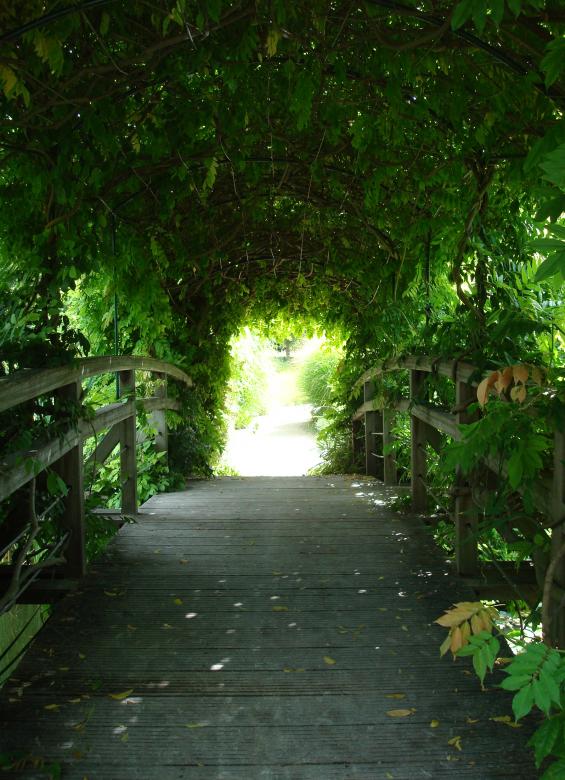 Free stock image of Past the bridge created by Lodi Fost