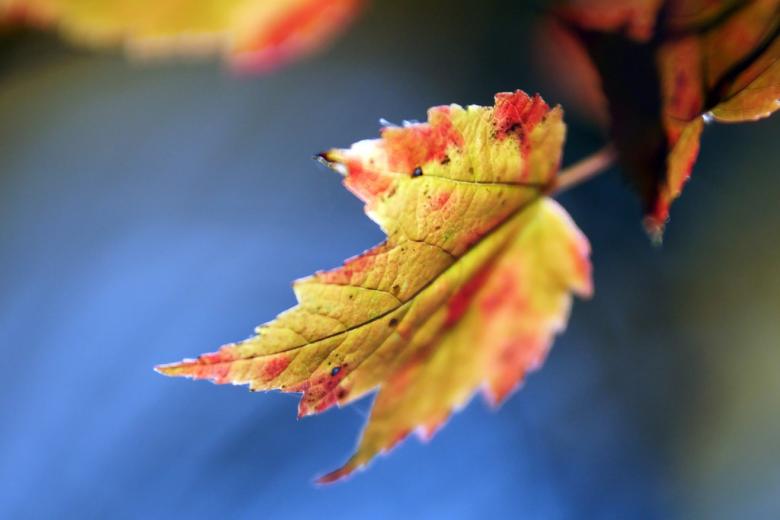 Free stock image of Harvest time created by agphotostock.com